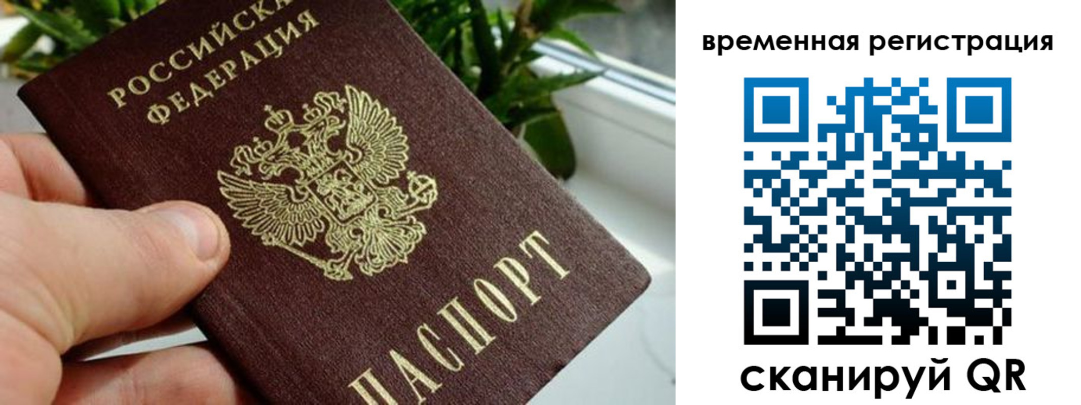 прописка поиск в Ступино